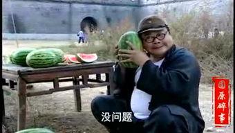 娱乐吃瓜王大锤视频